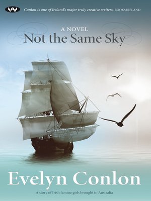 cover image of Not the Same Sky: a novel